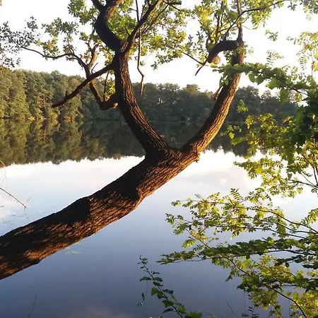 Sidowseetraum בית נופש