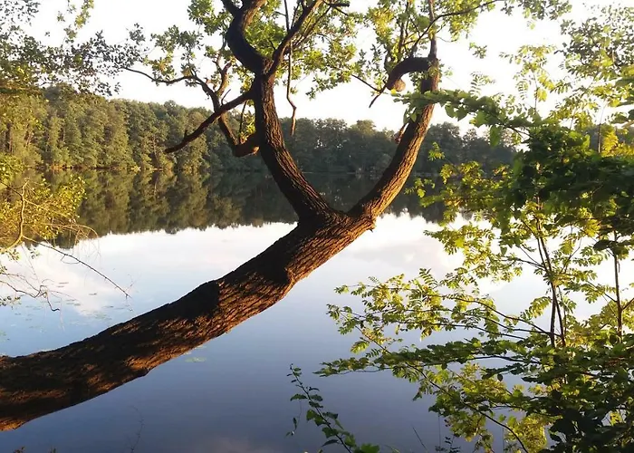 Sidowseetraum Semesterbostad